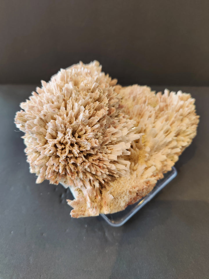 Beige mordenite and stilbite crystal spray specimen on clear stand, side view