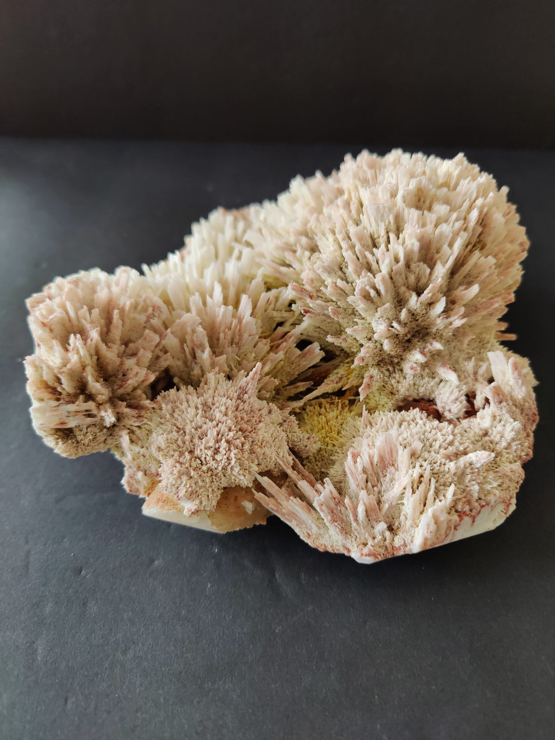 Beige mineral specimen with dense crystal clusters on clear display stand