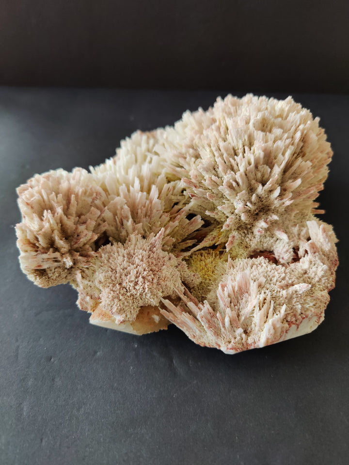 Beige mineral specimen with dense crystal clusters on clear display stand