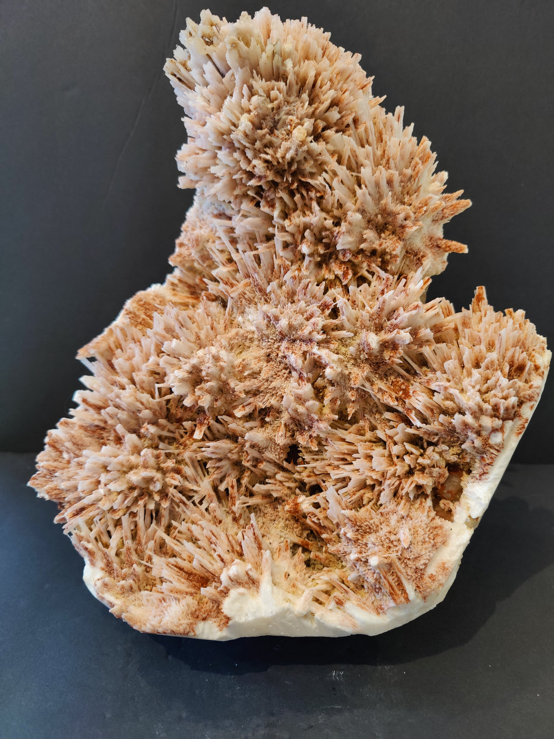Mineral crystal specimen with peach and cream needle clusters on white base
