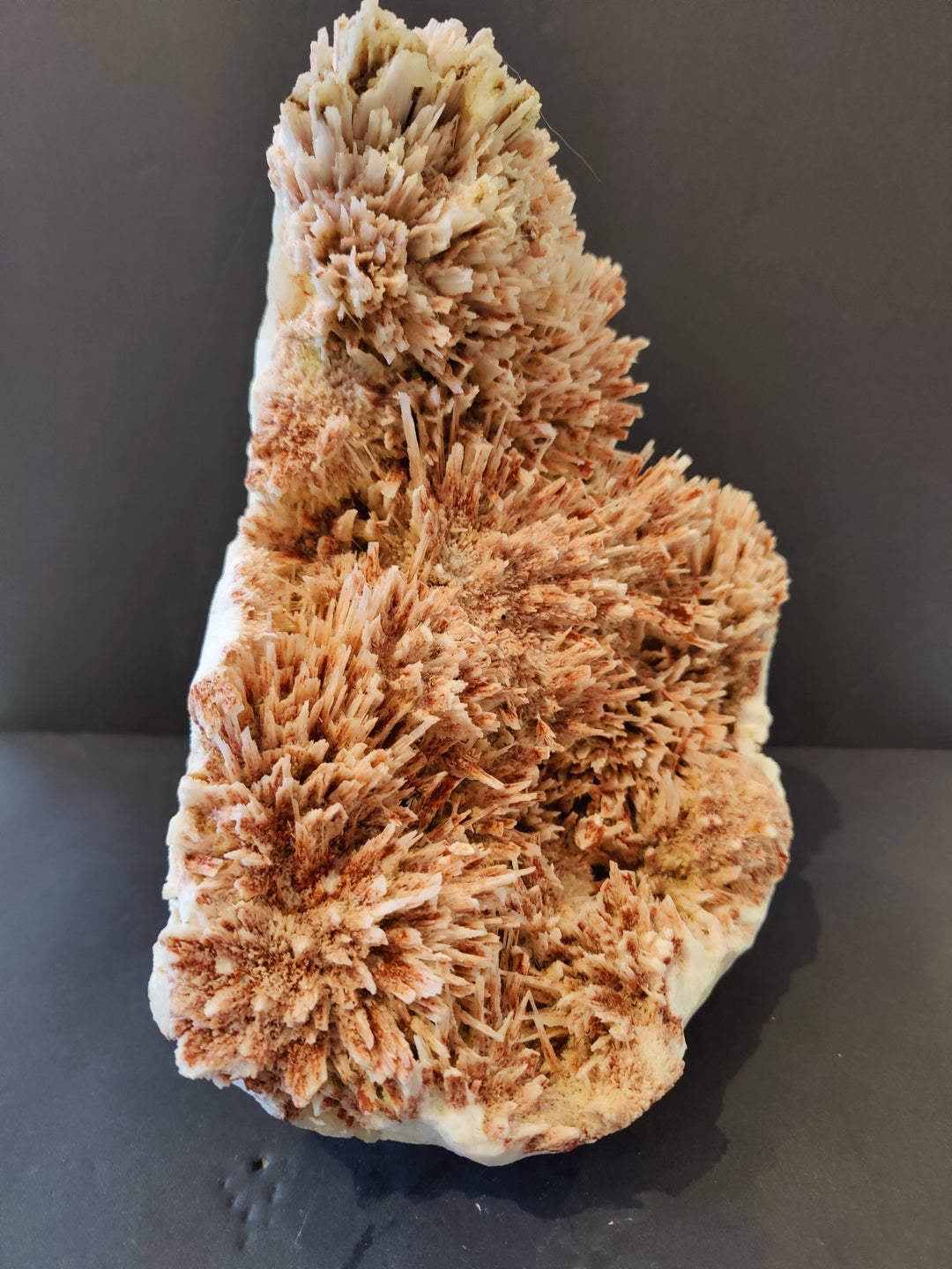 Mineral crystal specimen with rose-brown and cream needle crystals on white matrix