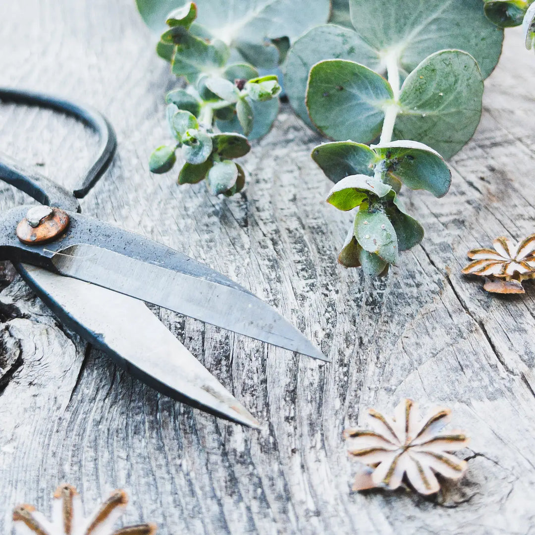 Dark metal pruning shears lying on gray wood with blades visible