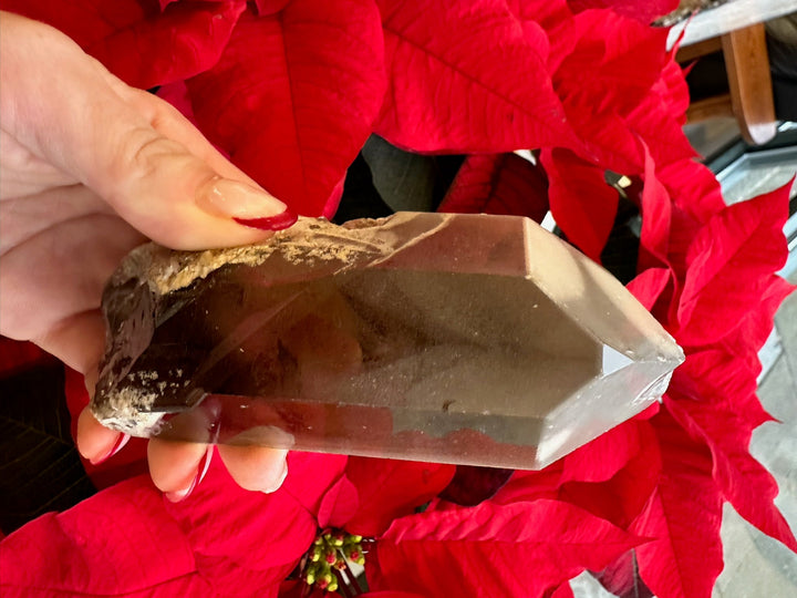 Smoky quartz crystal point with translucent smoky body and rough base