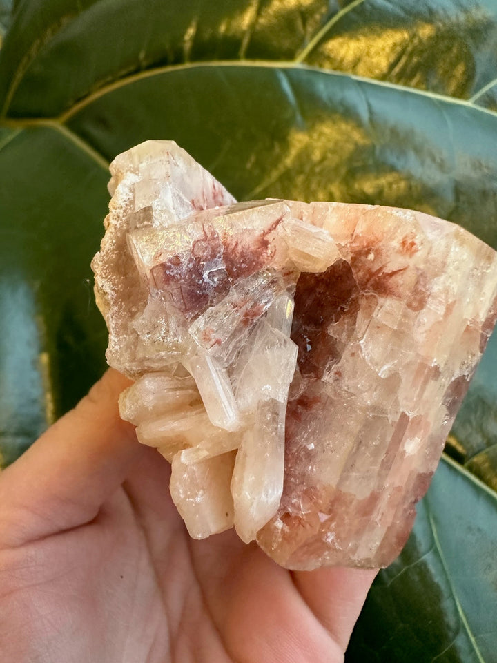 Red and clear apophyllite cube with white mineral base, held in fingertips.