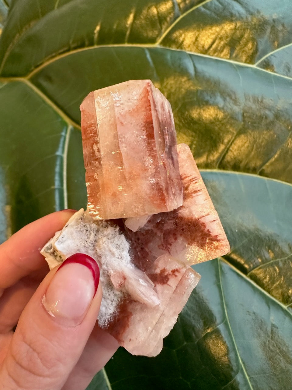 Tall red apophyllite cube crystal with clear white druzy growth, held in hand.