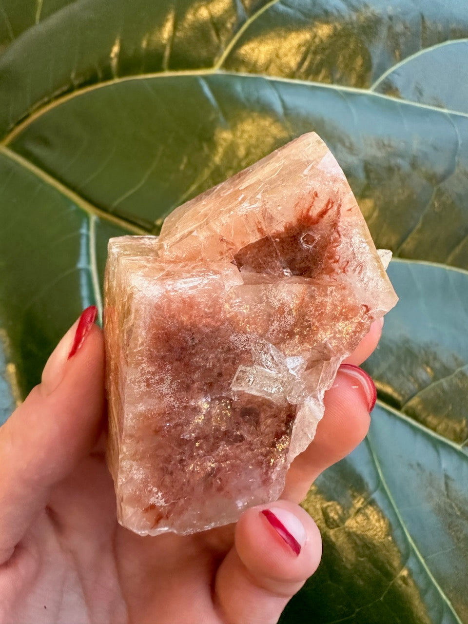 Red apophyllite cube with sparkling clear facets and thick white druzy matrix.