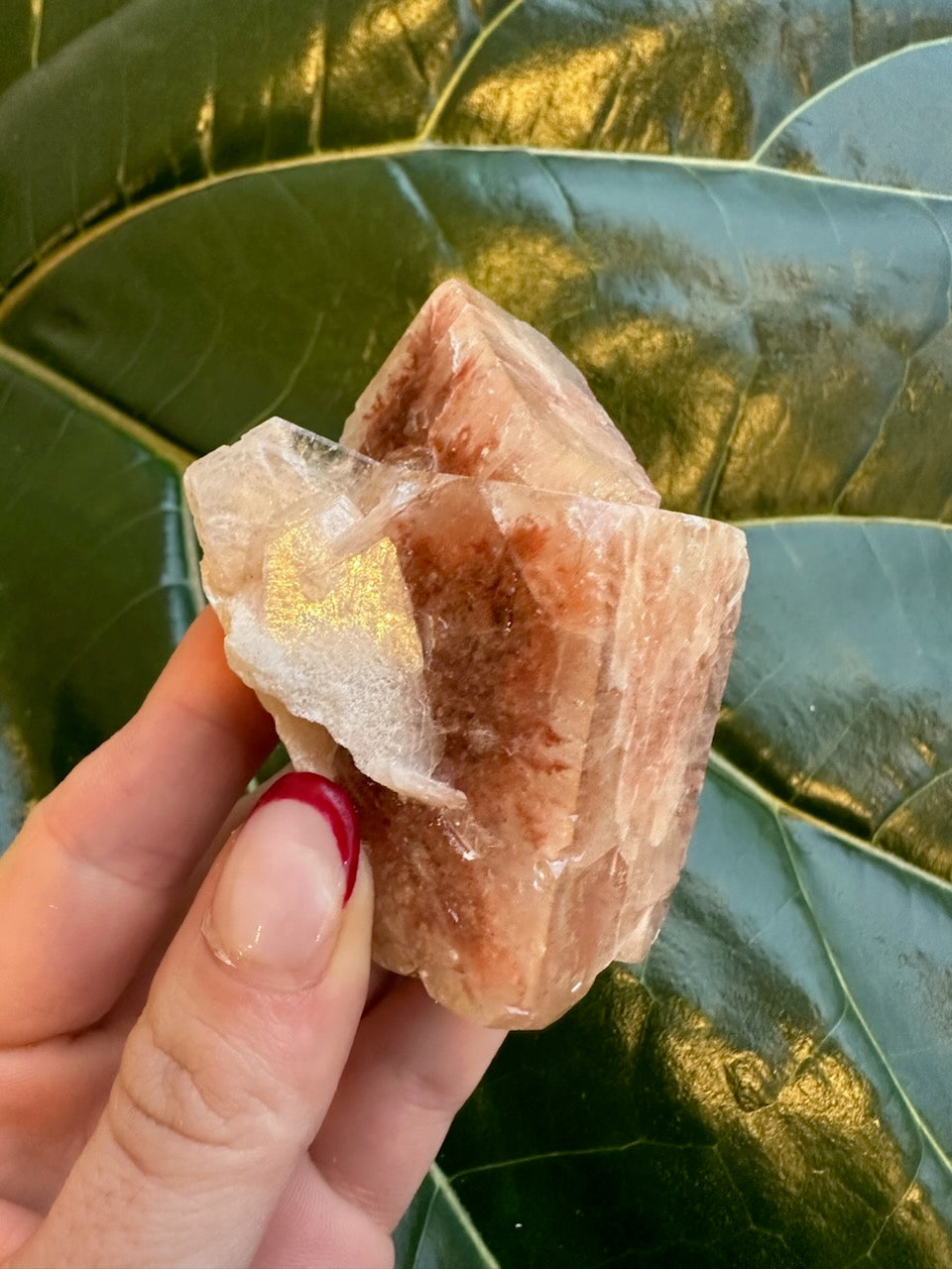 Red apophyllite crystal on white druzy base with translucent pink facets.