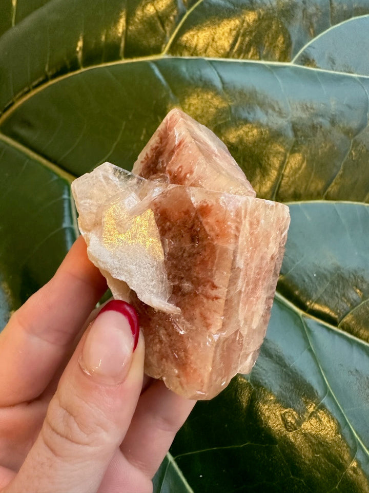 Red apophyllite crystal on white druzy base with translucent pink facets.