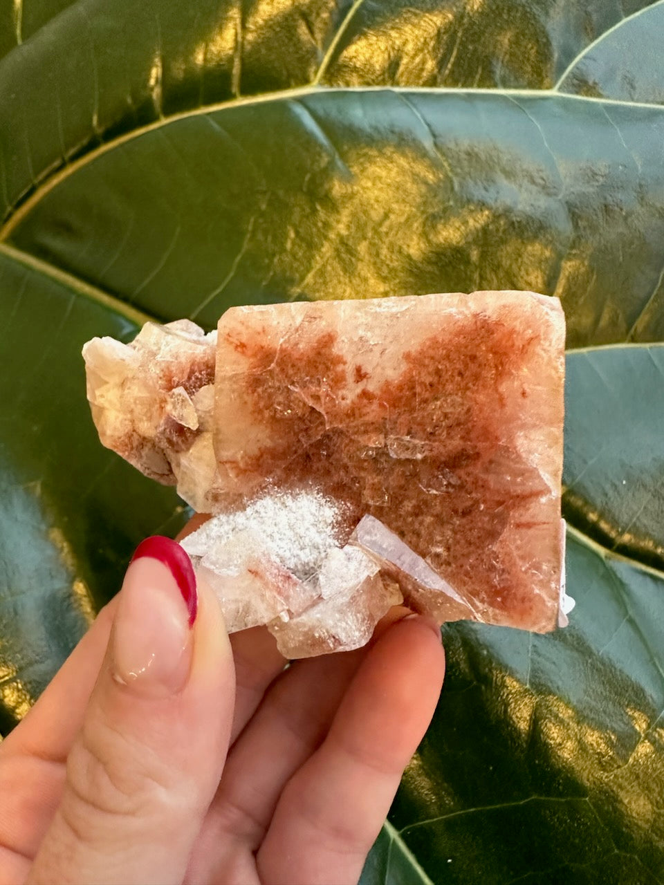 Red apophyllite specimen with rough white druzy edges and faceted red face.