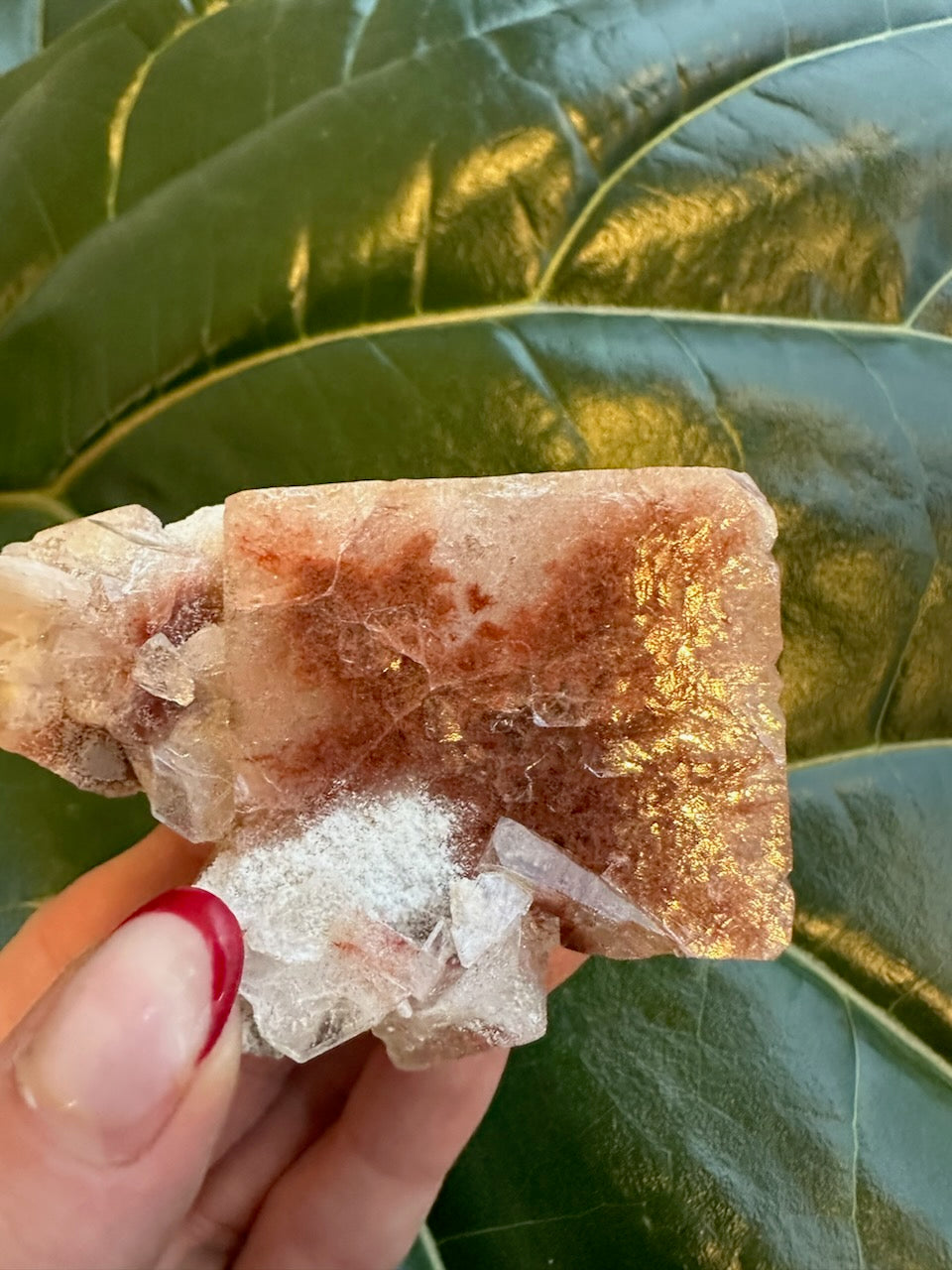 Red apophyllite crystal with pink-golden sheen and white druzy clusters.