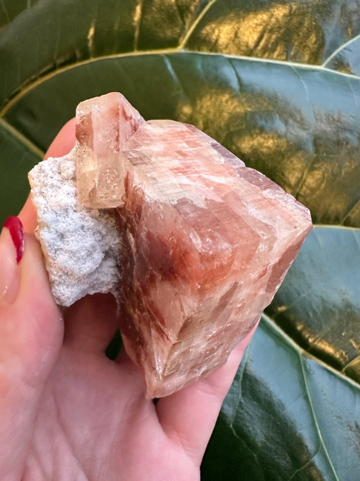 Red apophyllite crystal with angular faces and white crystallized underside.