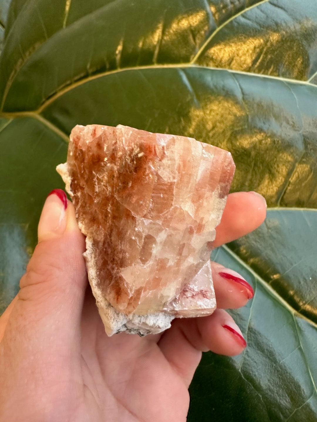 Red apophyllite crystal fragment with clear pink faces and white druzy area.