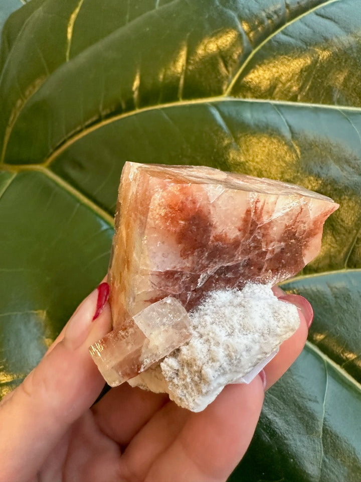Red apophyllite cube specimen with white druzy patches and faceted surfaces.