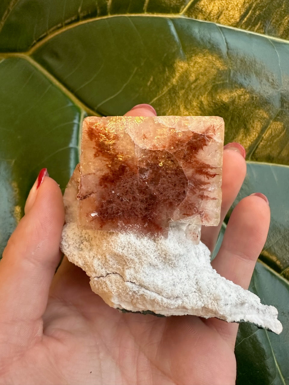 Small red apophyllite cube specimen with white mineral druzy, held between fingers.
