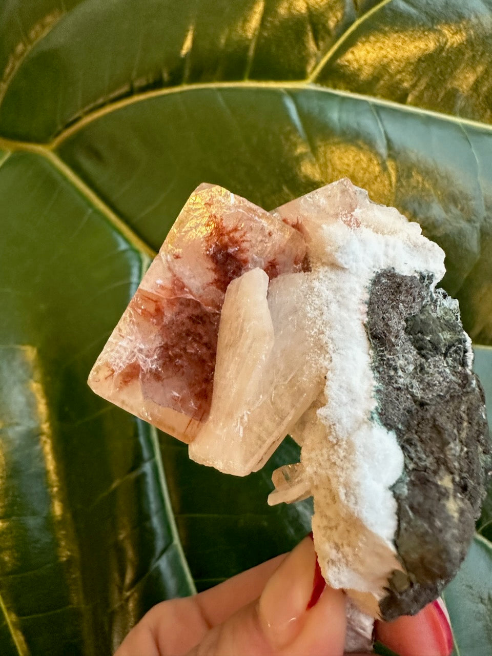 Apophyllite cube crystal with reddish face and white druzy growth, angled view.