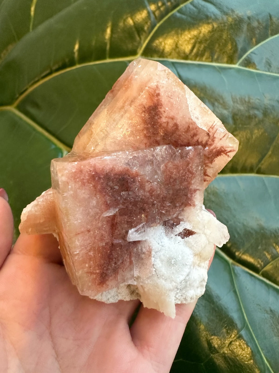 Red apophyllite crystal cluster with clear facets and white druzy base.