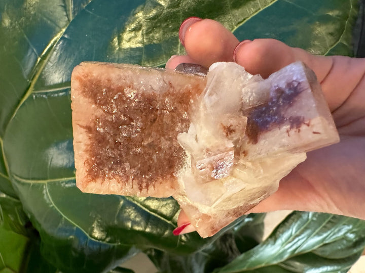 Red-brown apophyllite cube with white base and clear prongs, held in hand