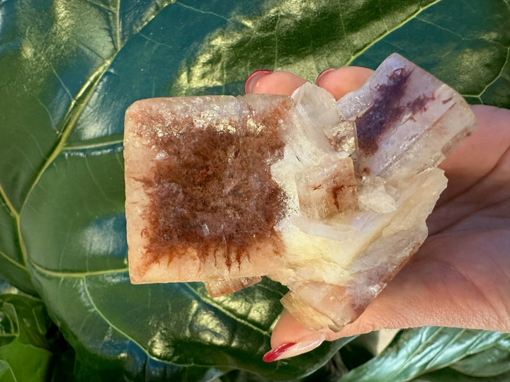 Red-brown and white apophyllite cube with clear facets, held in hand