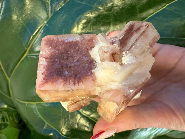 Apophyllite mineral cluster with red-brown cap, white base, and clear points