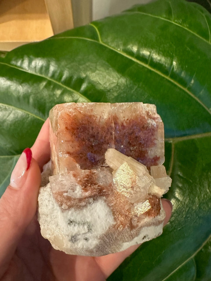 Apophyllite cube with red-brown top, white base, and clear crystal pieces