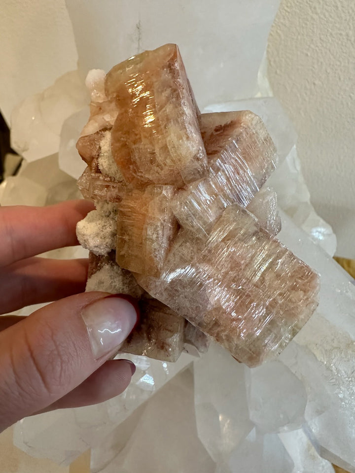 Apophyllite cube cluster in warm red tones with glossy transparent cubes