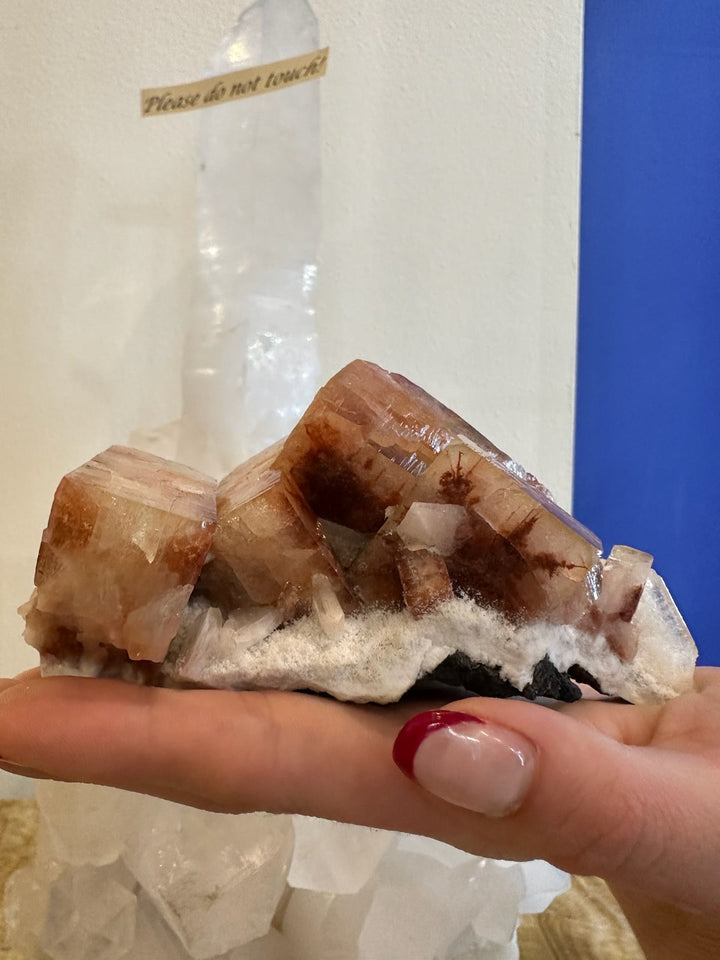 Red-orange apophyllite crystal cluster with cube facets on white rock matrix