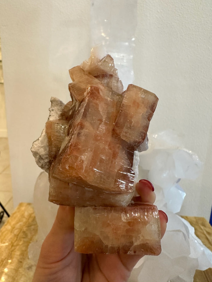 Honey-brown apophyllite crystal cluster with cube faces on white rock matrix