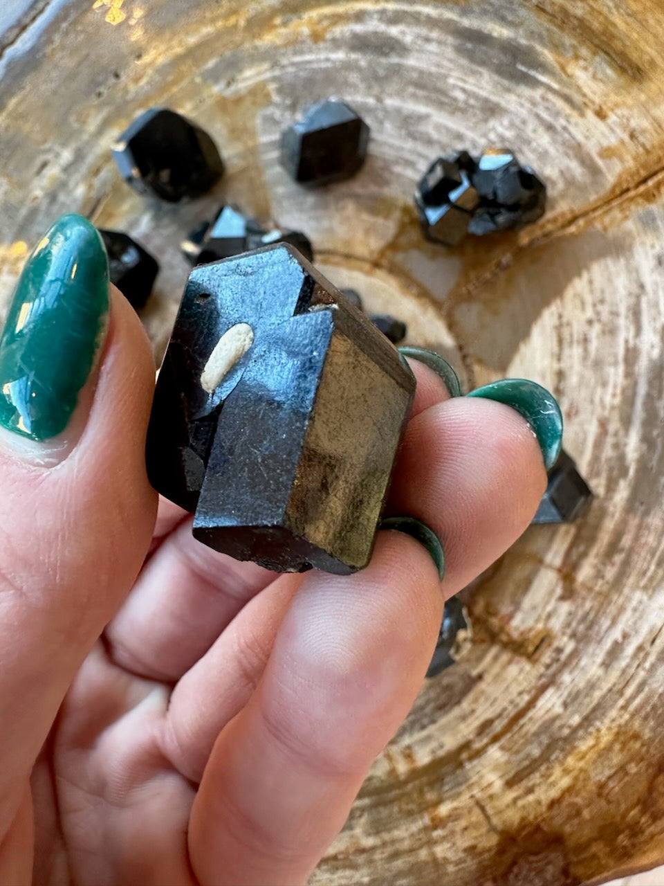 Rough melanite garnet crystal held in hand, dark black with blue geometric facets