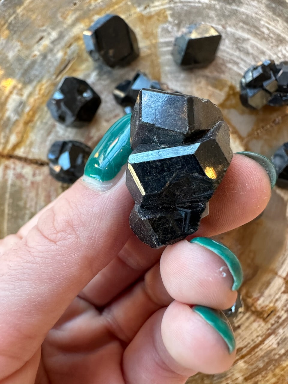 Rough melanite garnet crystal in hand, dark black with bright blue sheen