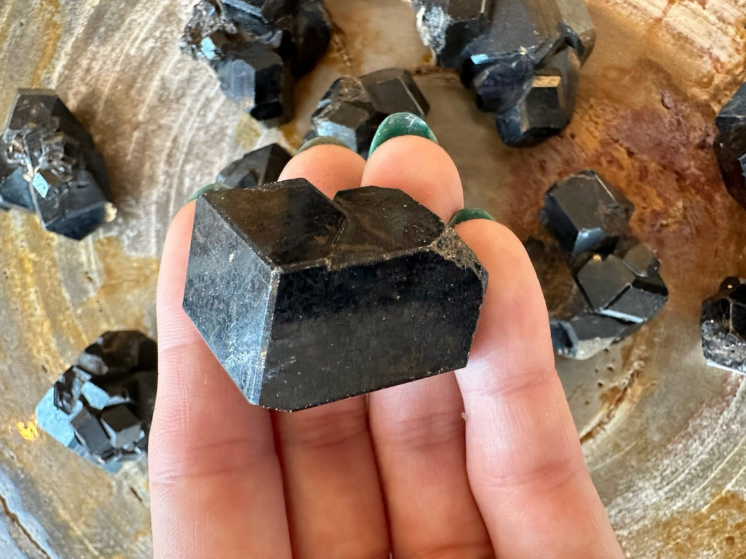 Melanite garnet crystal cluster on palm: large black cube with metallic blue edges