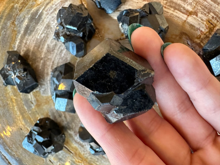 Melanite garnet cluster in hand with scattered dark cubes and blue metallic sheen