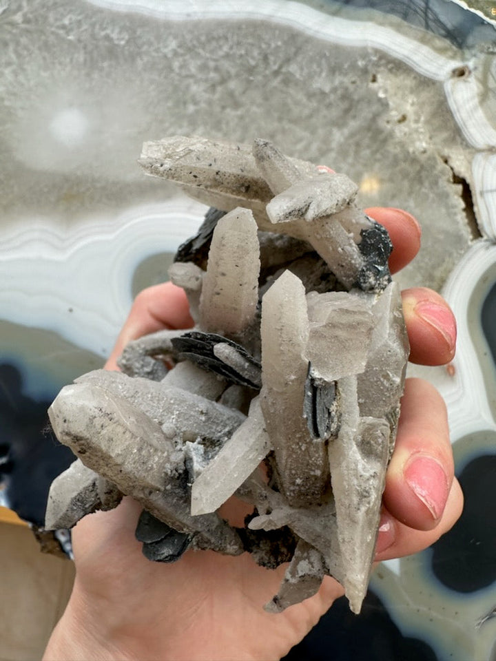 Dogtooth calcite cluster with mica, hand-held translucent calcite blades with shiny dark mica