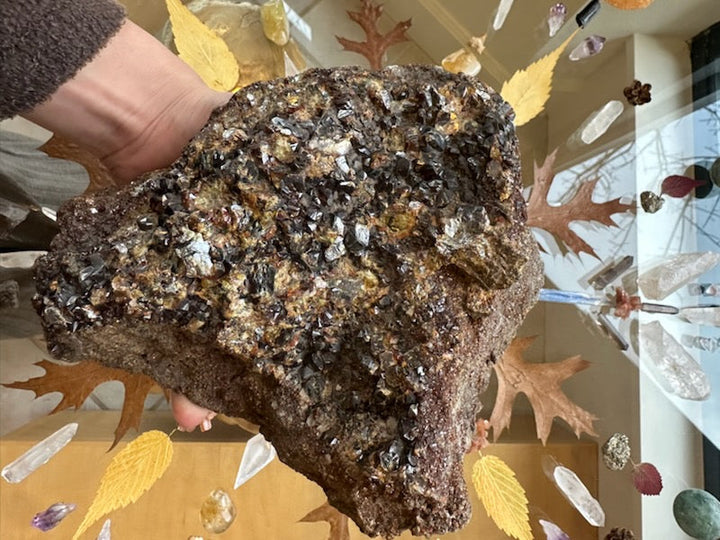 Large garnet crystal cluster specimen with tightly packed metallic crystals on dark brown base