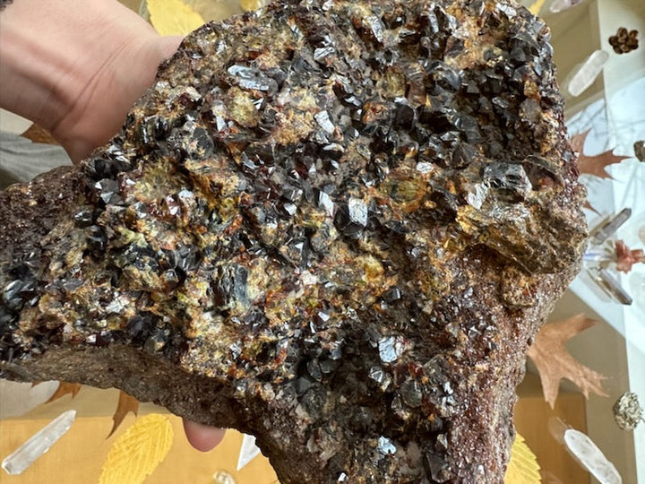Close-up garnet crystal cluster specimen with dense glittering metallic crystals on dark brown rock