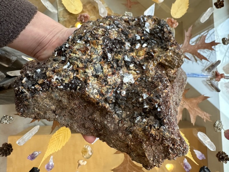 Handheld garnet crystal cluster specimen with dense glittering crystals on dark brown matrix