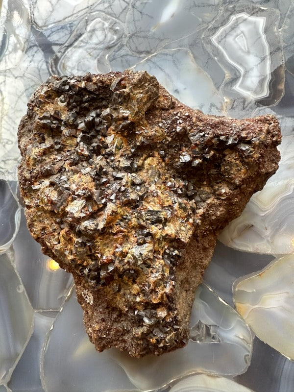 Garnet crystal cluster specimen with rough dark brown rock and sparkling silver crystals