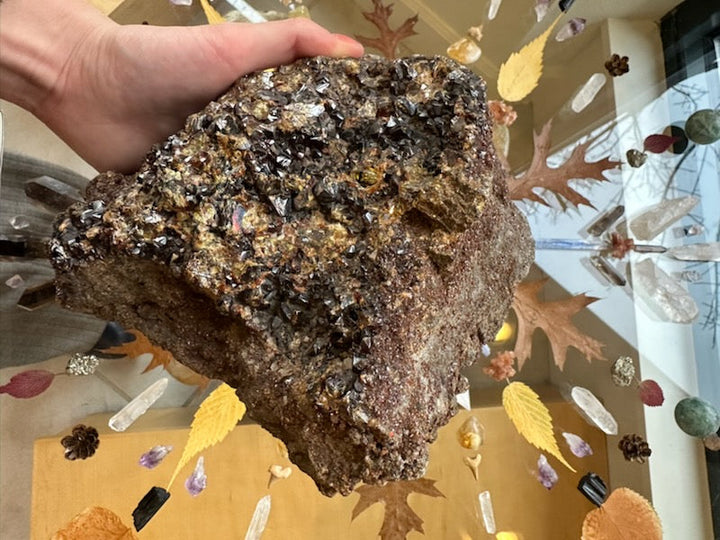 Garnet crystal cluster specimen held in hand, rough dark brown surface with metallic sparkle