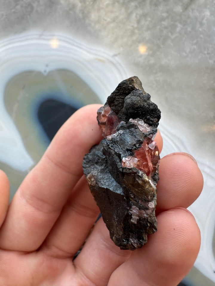 Rhodochrosite crystal cluster on dark rock matrix held in hand, red crystals