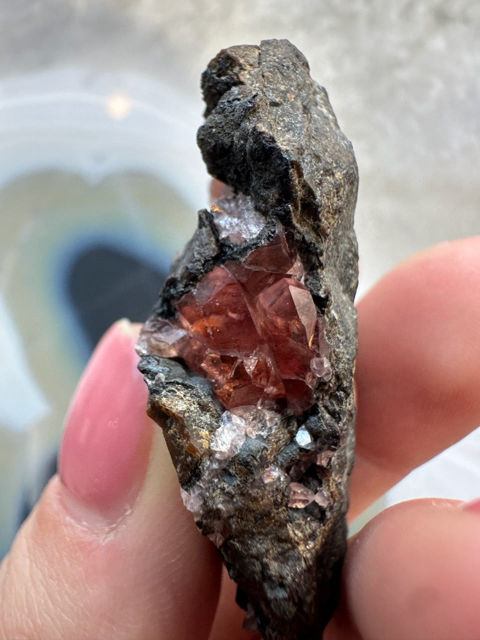 Rhodochrosite crystal cluster on dark rock matrix held in hand, red gem