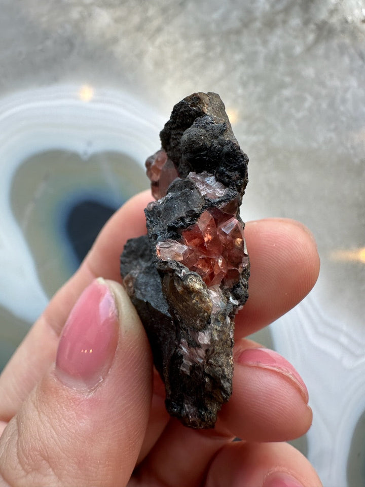 Rhodochrosite crystal cluster on dark rock matrix, red crystals held in hand