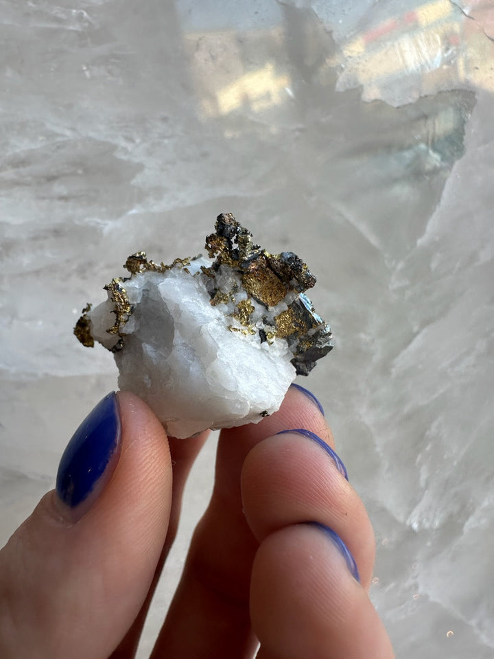 Quartz and golden pyrite mineral specimen held in hand, close-up