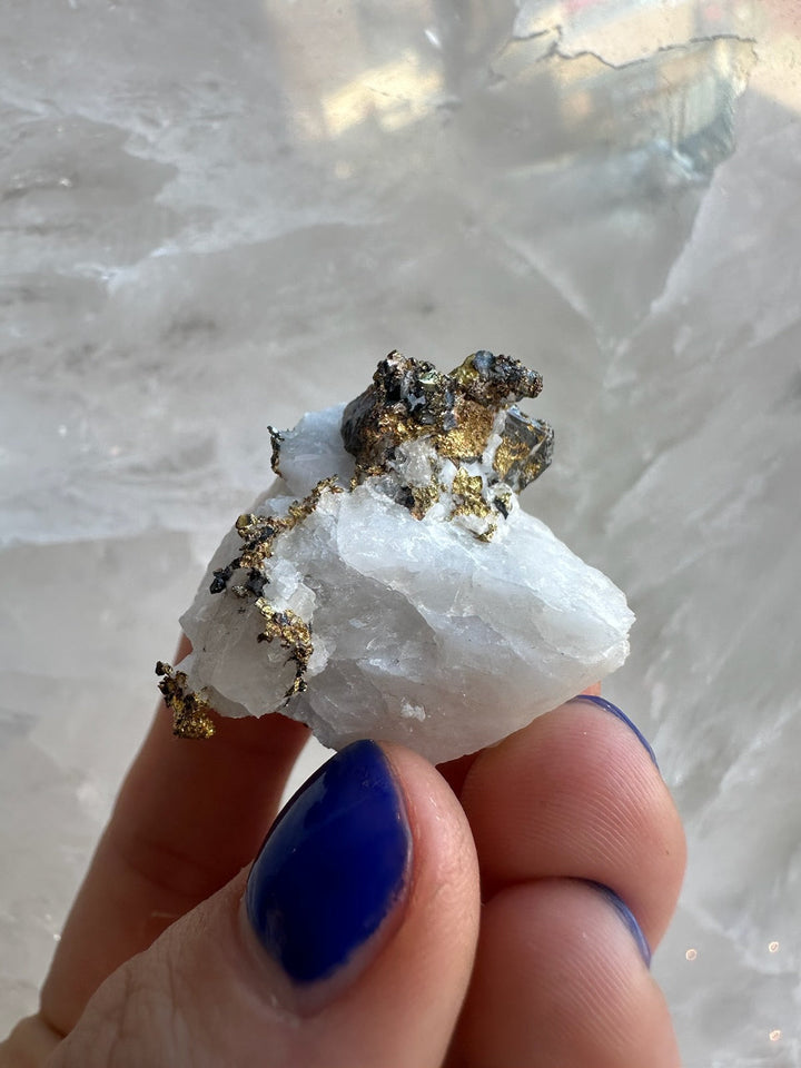 White quartz with golden pyrite mineral specimen held in hand, close-up