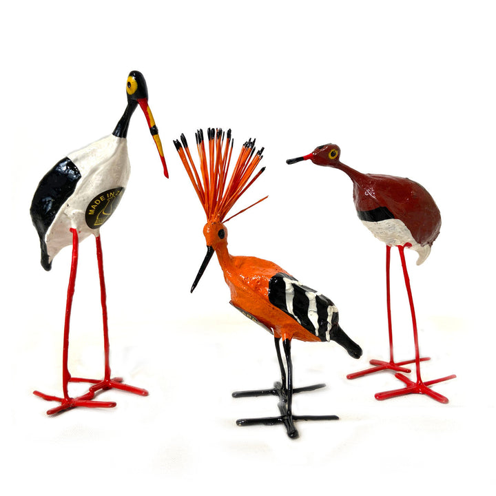 Seedpod Stork