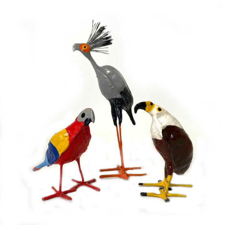 Seedpod Macaw