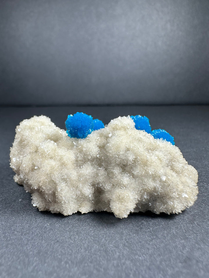 White mineral matrix with multiple blue cavansite crystal points, specimen