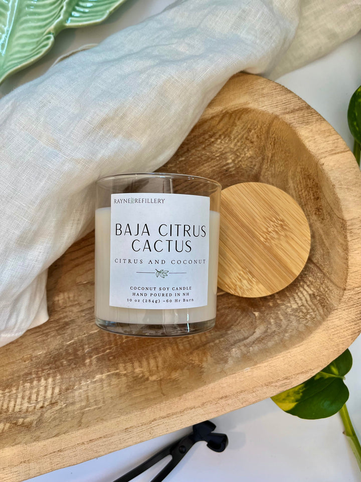 Luxury coconut soy candle in white jar, BAJA CITRUS CACTUS label visible