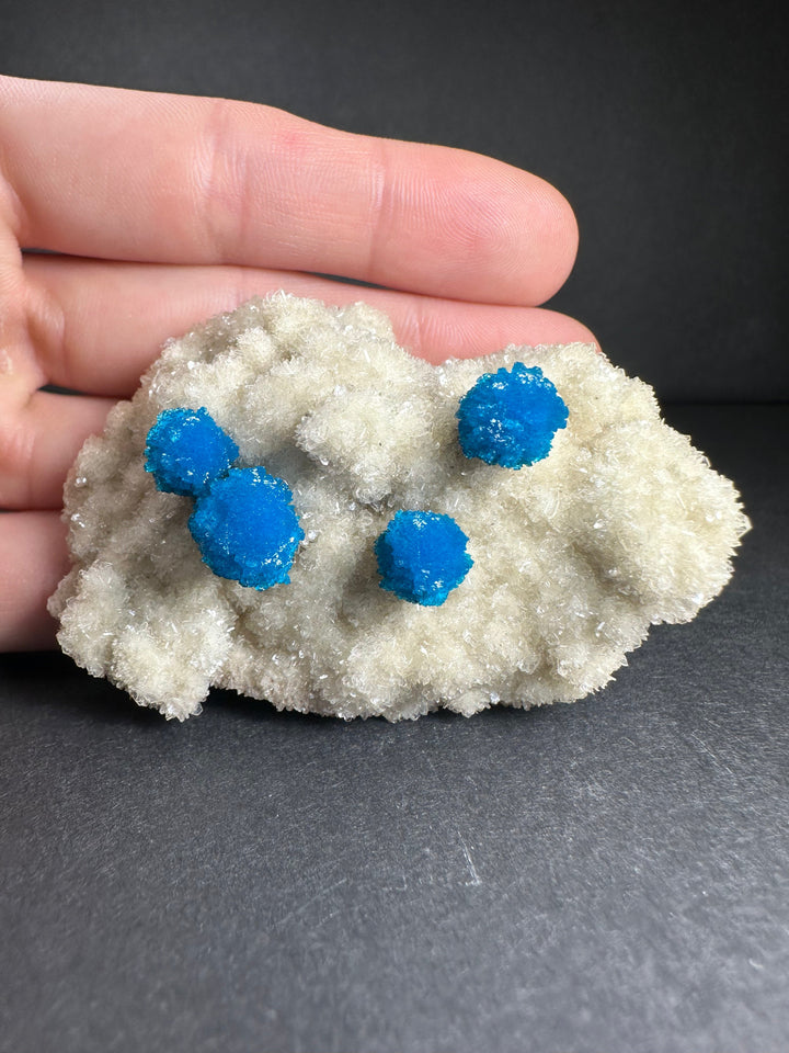 Small mineral specimen with blue cavansite clusters on white stilbite, held in hand
