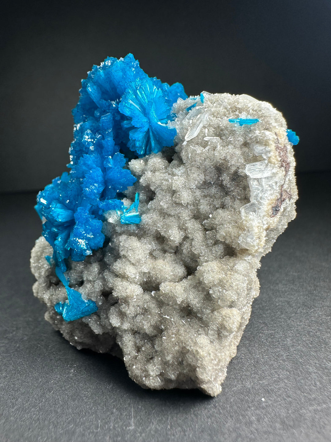 Blue cavansite with white stilbite on textured gray mineral matrix