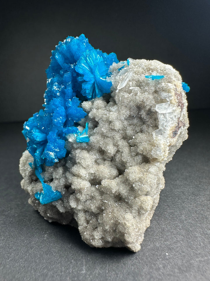 Blue cavansite with white stilbite on textured gray mineral matrix