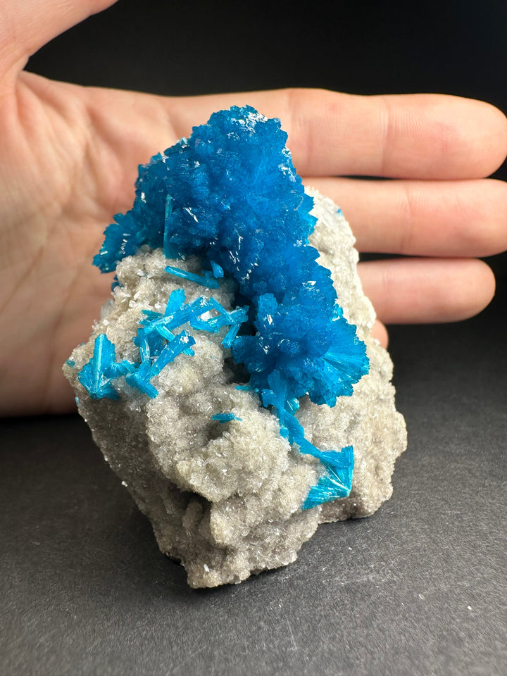 Blue cavansite and white stilbite mineral specimen held in hand